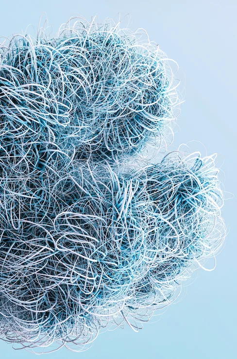 A complex network of connections