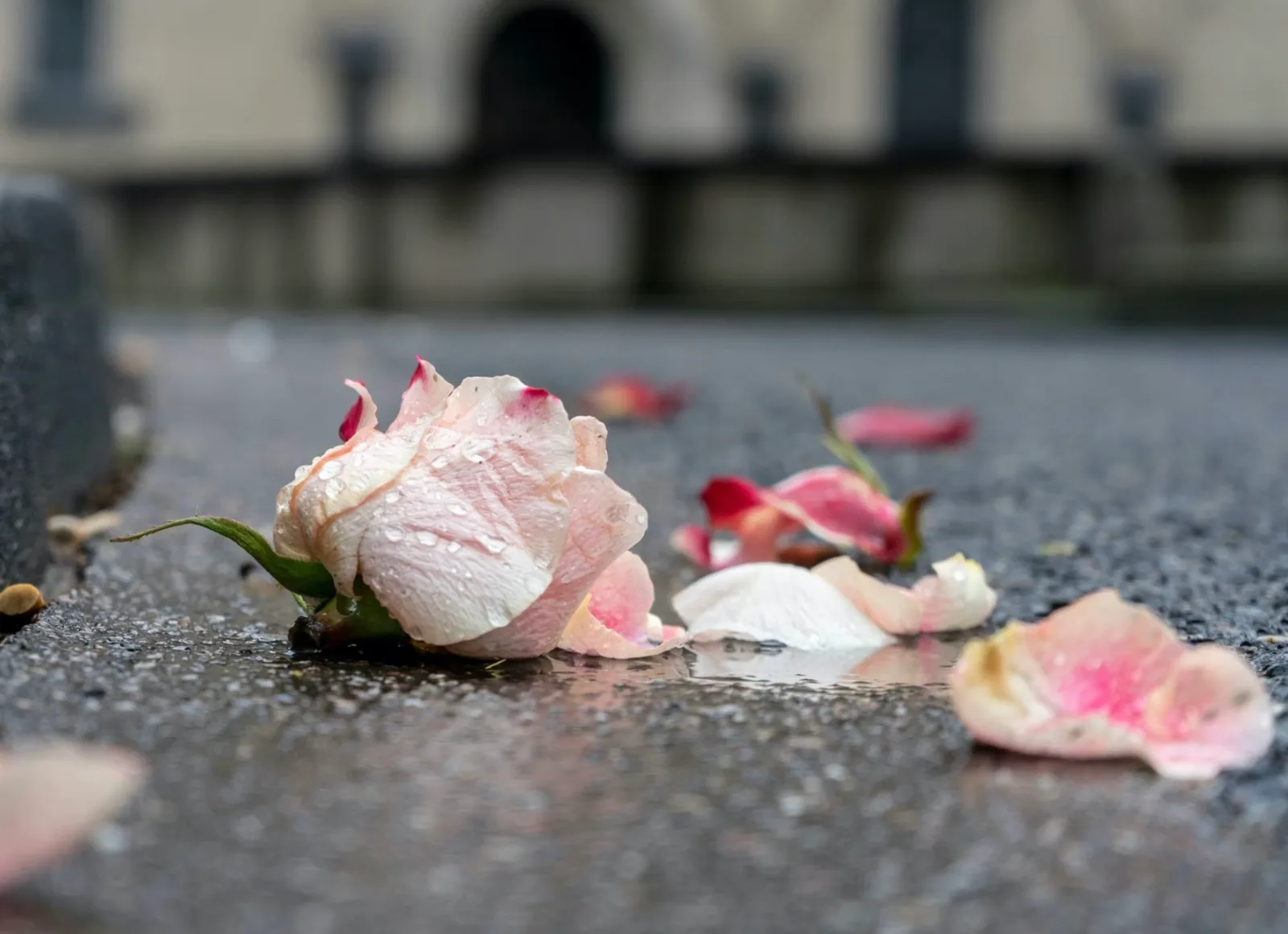 Broken pieces representing business loss