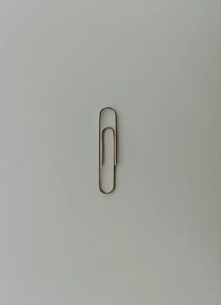 A simple paperclip